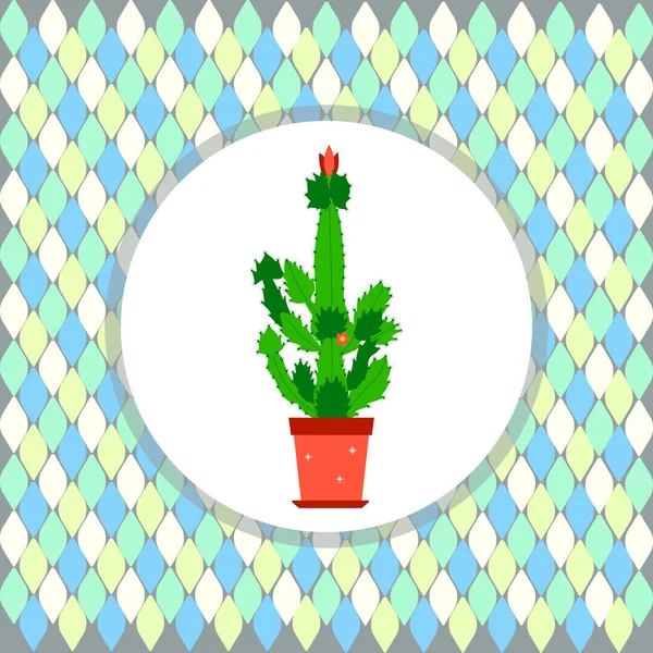 Fond de cactus en cercle — Image vectorielle