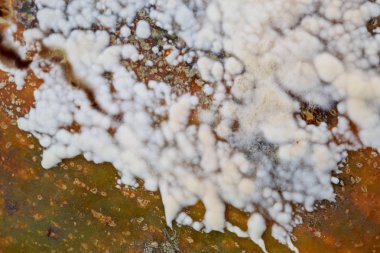 Beyaz kalıp çok büyük fincan