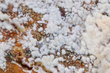 Beyaz kalıp çok büyük fincan