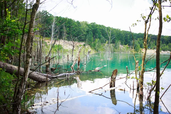 Uitzicht op het meer met Forest — Stockfoto