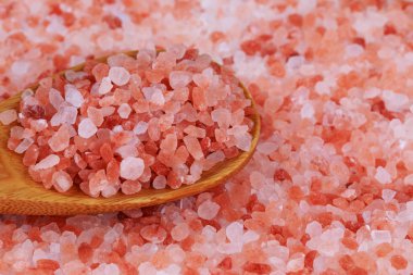 Himalaya pembe tuzu