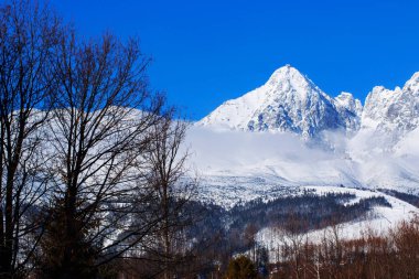 Güzel karlı dağ manzarası