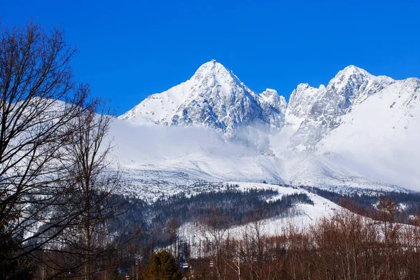 Güzel karlı dağ manzarası