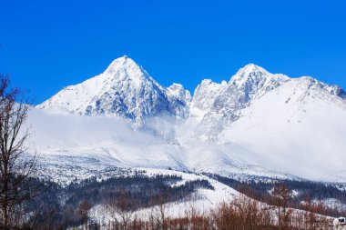 Güzel karlı dağ manzarası