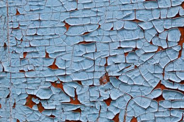 bir yönetim kurulu eski boya