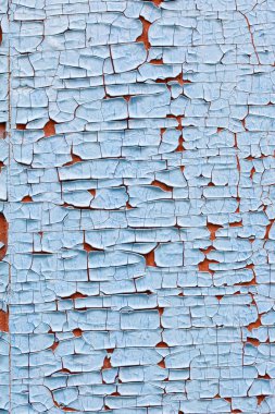 bir yönetim kurulu eski boya