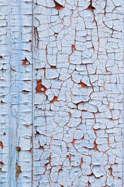 bir yönetim kurulu eski boya