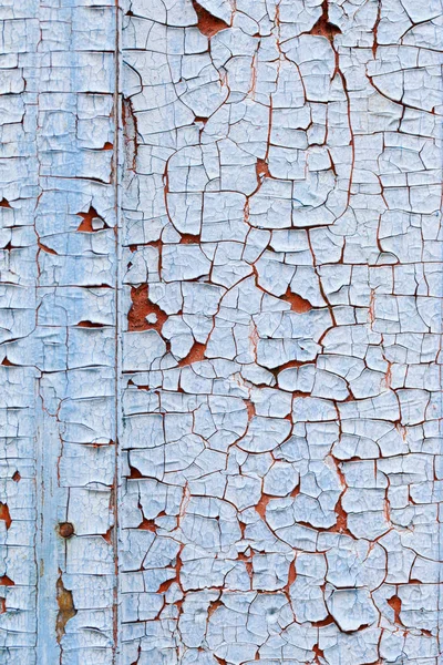 bir yönetim kurulu eski boya