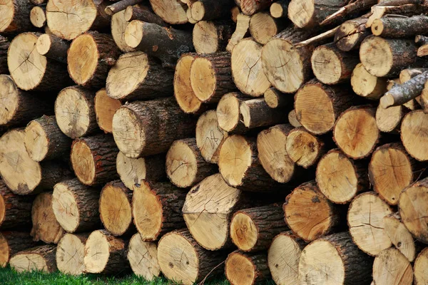 La legna da ardere tagliata — Foto Stock