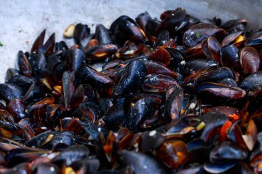 Izgara tavada taze midye