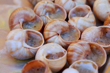 Mangalda escargot salyangoz sarımsak