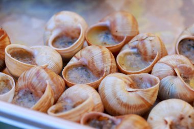 Mangalda escargot salyangoz sarımsak