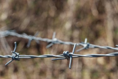 Bej arkaplanda dikenli tel örgü var.