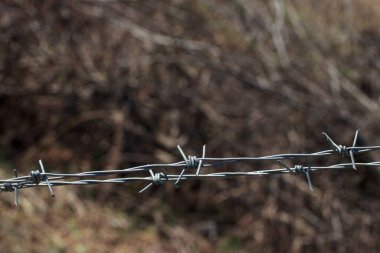 Bej arkaplanda dikenli tel örgü var.