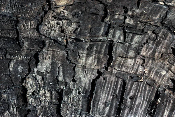 Details Patterned Texture Burnt Wood Surface — Stock Photo, Image