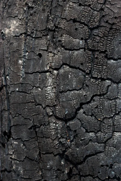 Detalhes Textura Modelada Uma Superfície Madeira Queimada — Fotografia de Stock