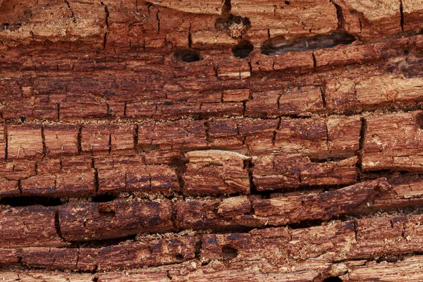 Strict texture beautiful wooden background with crack