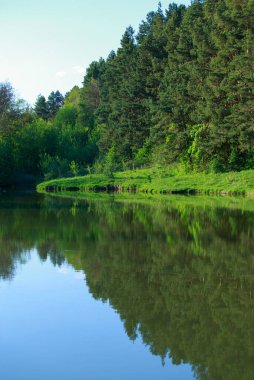 Çam ormanı ve göl manzarası