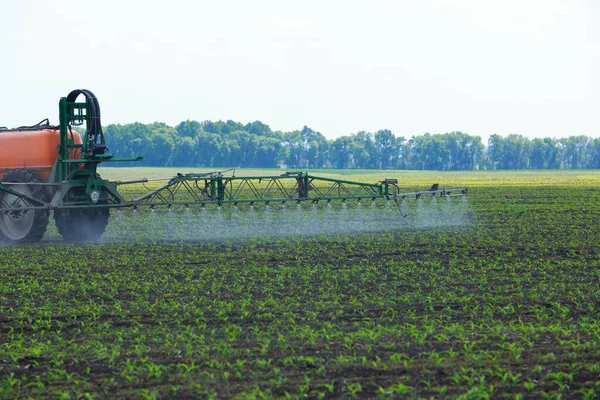 Трактор Збризає Кукурудзяне Поле Навесні — стокове фото