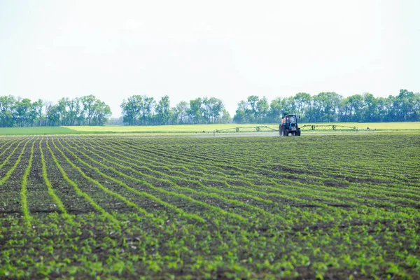 Traktor Taburi Ladang Jagung Musim Semi — Stok Foto