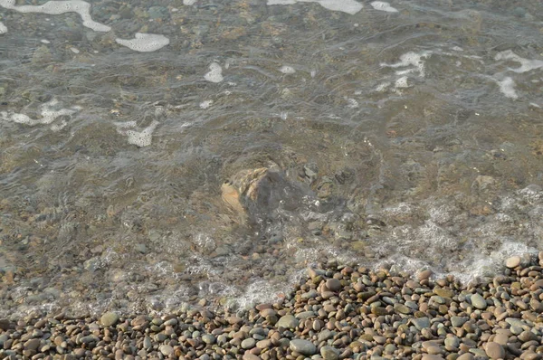 Onda de mar na costa de uma praia de seixos, água, espuma, fundo — Fotografia de Stock