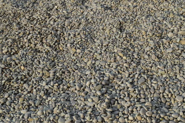 Fundo abstrato com seixos-cinza pedras marinhas redondas — Fotografia de Stock