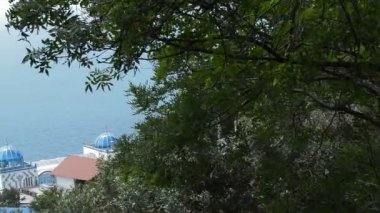 Ağaçlar, yukarıdaki mavi deniz görünümü dalları rüzgar sallıyor