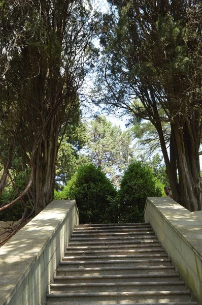 Gyönyörű kőlépcsőn, többek között a növények és a fák, a Park vezető lépések — Stock Fotó