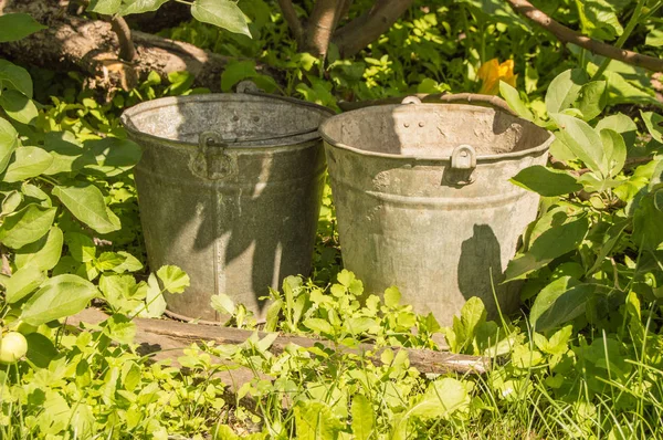 정원의 풀 속에 있는 낡고 녹슨 철제 양동이 두 개 — 스톡 사진