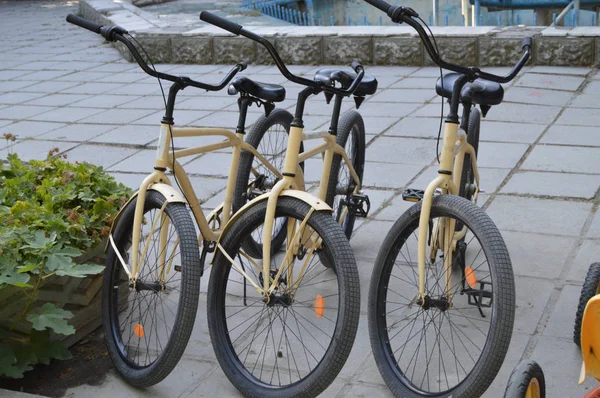 Parkeren en fiets verhuur in de stad Park — Stockfoto