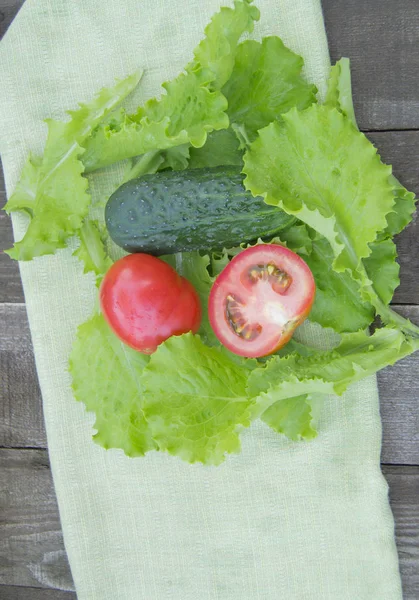 Frischgemüse Gurken, Tomaten, Salat, Draufsicht, Kopierraum — Stockfoto