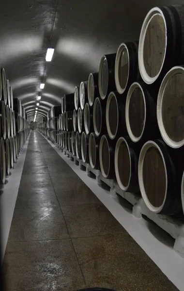 Дубові бочки лежать рядами у винному підвалі, зберігання та старіння вина — стокове фото