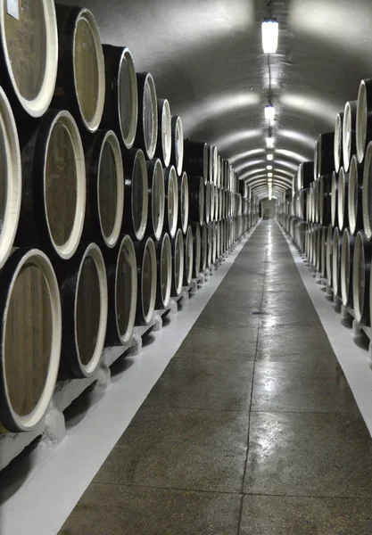 Дубові бочки лежать рядами у винному підвалі, зберігання та старіння вина — стокове фото