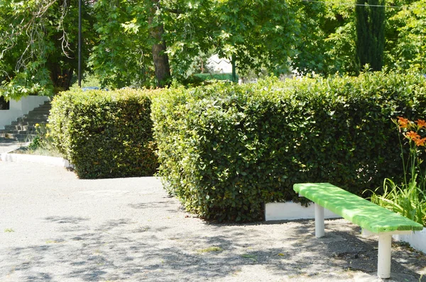 Panca in legno dipinta lungo i sentieri del parco estivo in una giornata di sole — Foto Stock