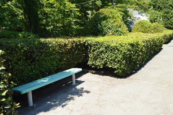 Holzbemalte Bank entlang der Wege im Sommerpark an einem sonnigen Tag — Stockfoto