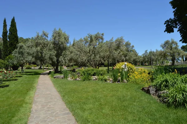 Hermoso Parque Partenit Con Callejones Flores Árboles Estatua Crimea Junio —  Fotos de Stock