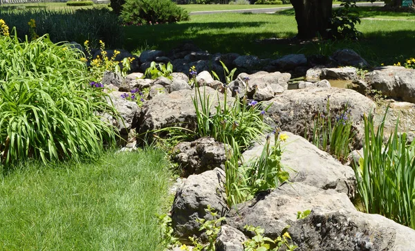 Bel étang et ruisseau avec des rochers et des fleurs dans le parc ce 3 juin 2018 Crimée — Photo