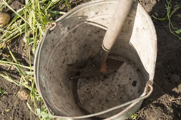 Close-up of an old dirty rusty iron bucket with rake on the background of soil and grass in the garden — Stock Photo, Image