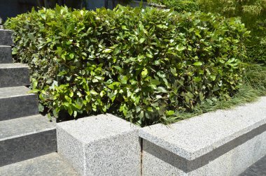 Park Peyzaj tasarımı ile merdiven ile mermer curbs