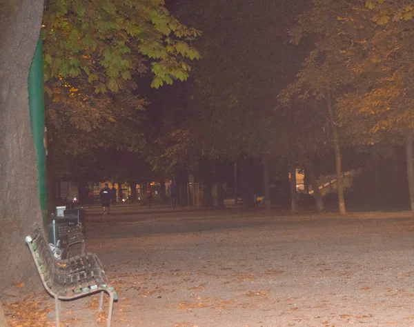 Dark podzim Park v večerní lidí sportovat a běh — Stock fotografie