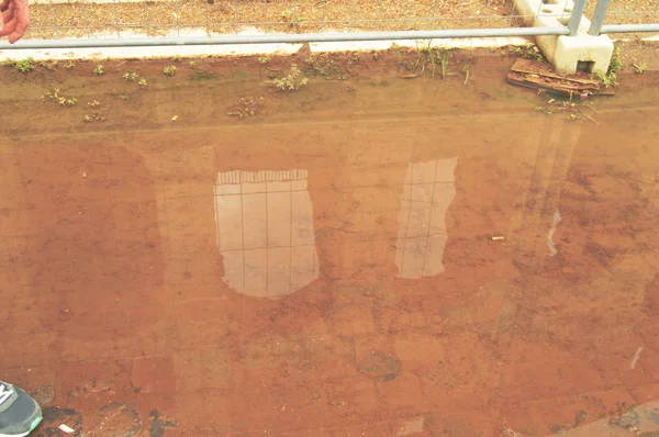 El Coliseo se refleja en un charco con un fondo marrón, vistas inusuales escorzo de Roma Italia — Foto de Stock