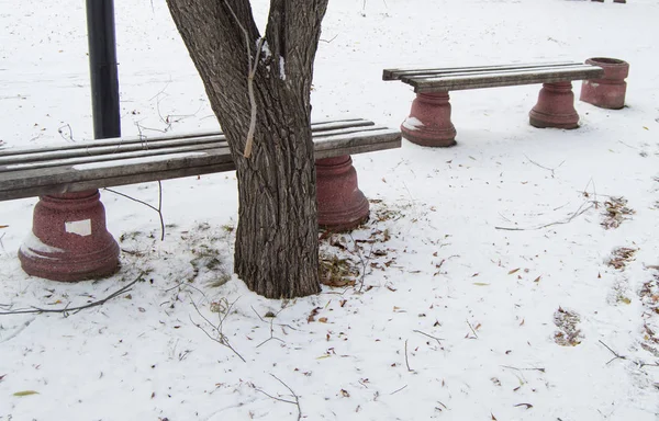 Несколько деревянных скамеек в зимнем городском парке, первый снег — стоковое фото