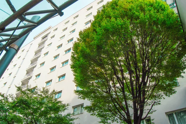 Milán, Italia-05 de octubre de 2018, fachada de un moderno edificio residencial de varios pisos, cerca de árbol verde, vista desde abajo — Foto de Stock