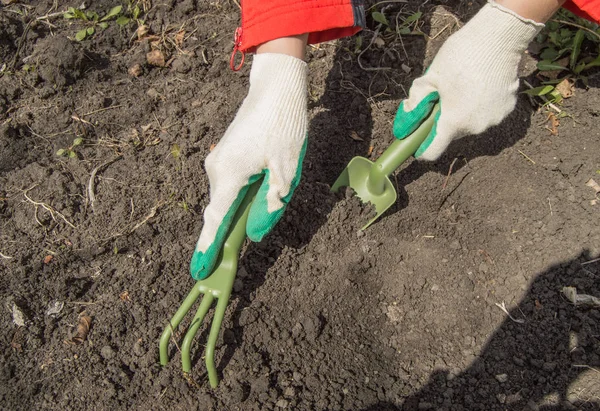 Una Mano Guantata Tiene Una Pala Prepara Terreno Piantare Piante — Foto Stock