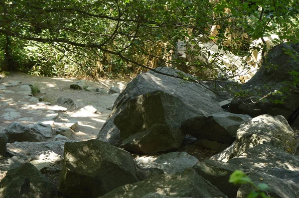 Grandes Piedras Largo Del Sendero Del Bosque Los Matorrales Los —  Fotos de Stock