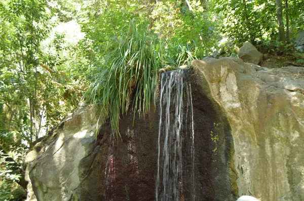 Der Wasserfall Fließt Von Den Mit Pflanzen Bewachsenen Steinen Sommerlichen — Stockfoto