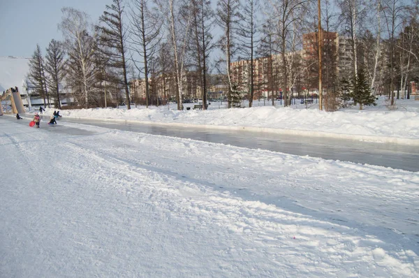 Téli Táj Nyitott Város Park Jégkorcsolya Pálya — Stock Fotó