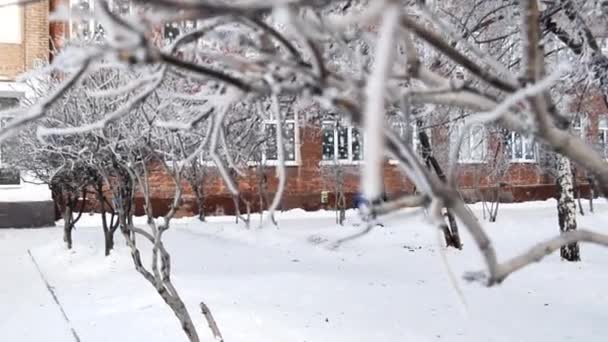 Heureux Grand Père Avec Petit Fils Marcher Long Chemin Hiver — Video