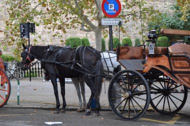 Atlar ve yolcular ve turistler içinde tarihi merkezi, Palma de Mallorca, İspanya, 10 Ekim 2018 için bekleyen koç harnessed.