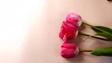 Düz yatıyordu pembe, güzel kırmızı lale. Çiçek satış konsepti